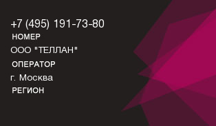 4951917380